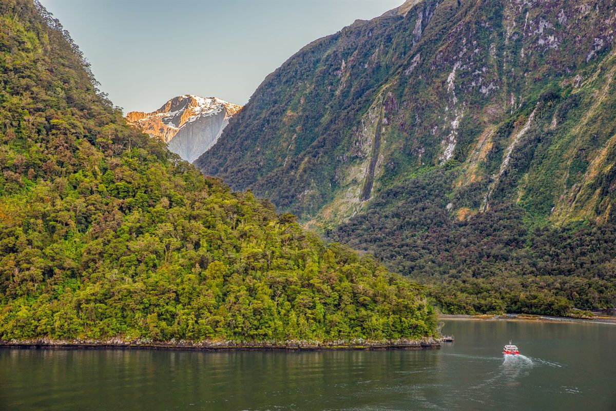 Boat in a New Zealand fjord